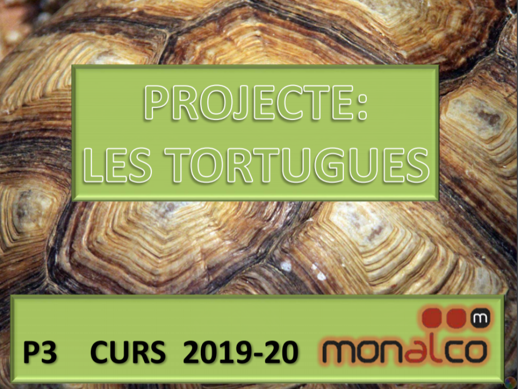 Veure Projecte LES TORTUGUES